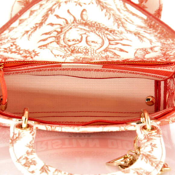 Christian Dior Medium Lady D-Lite Bag Embroidered Canvas - Picture 5 of 5